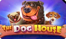 Maxispin – The Dog House